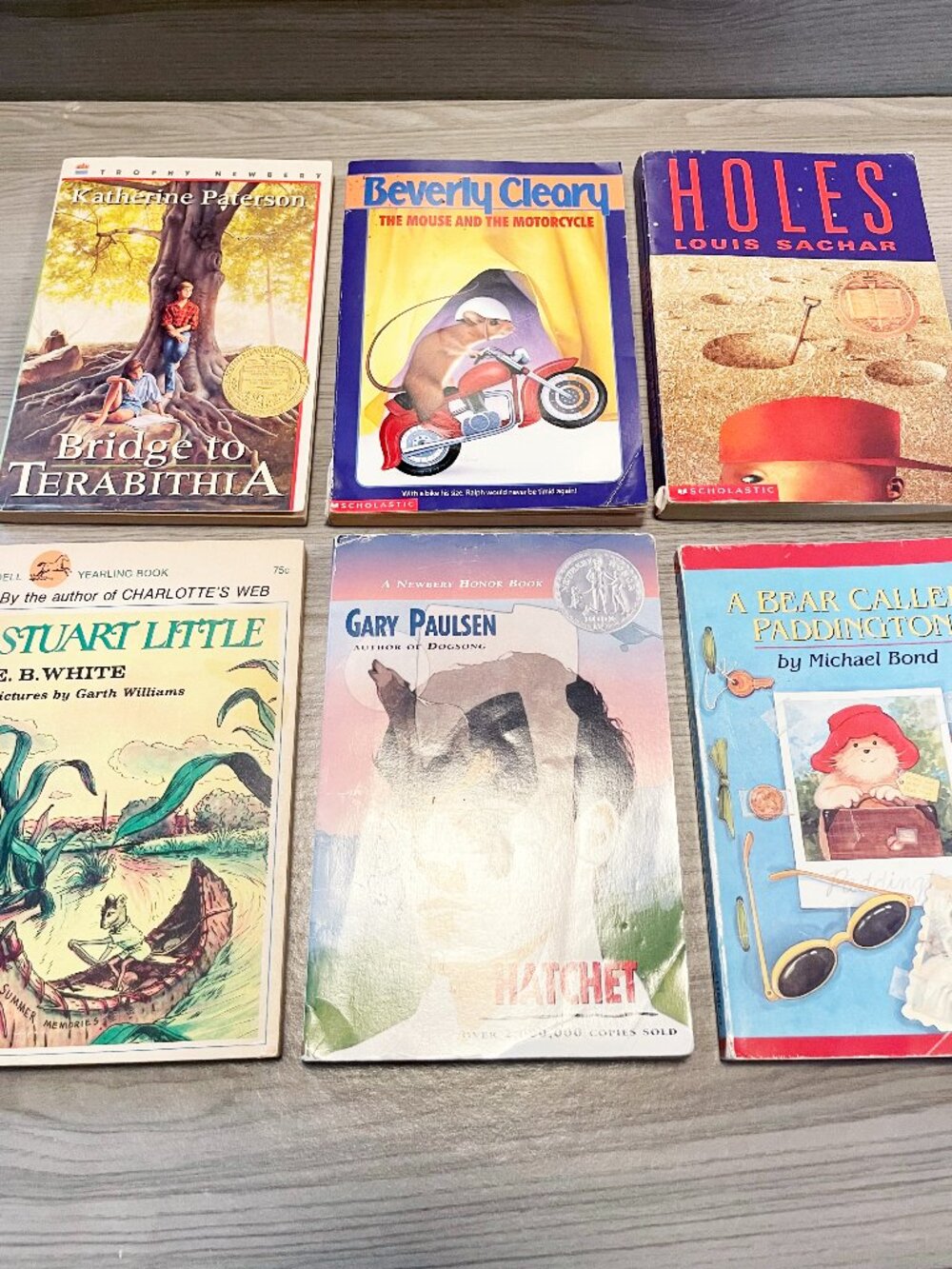 Classic Children’s Books Lot of 6 Newbery Award Winners Chapter Books